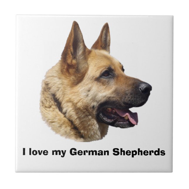 Alsatian German shepherd portrait Tile (Front)
