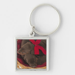 Also Doberman Pincher. Medium-sized domestic dog Key Ring