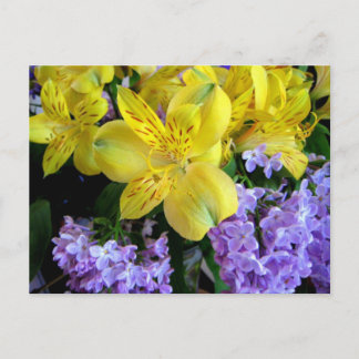 Alstroemeria and Lilacs Flowers Postcard