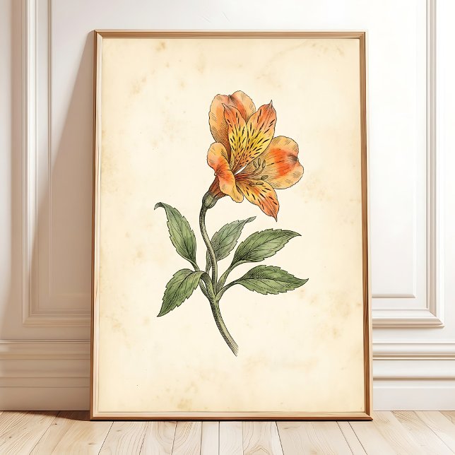 Alstroemeria Botanical Canvas Wall Art (Creator Uploaded)