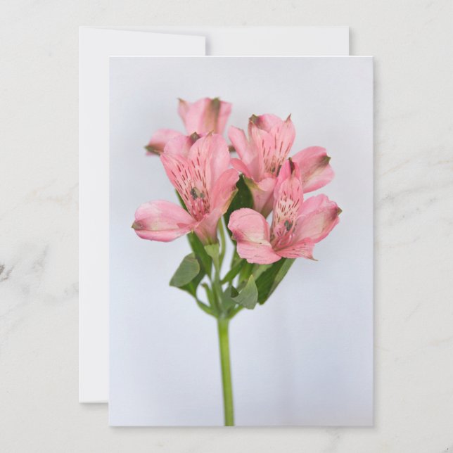 Alstroemeria Flowers Invitation (Front)