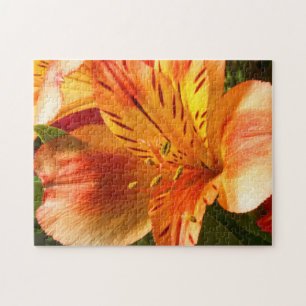 Alstroemeria in Orange Jigsaw Puzzle