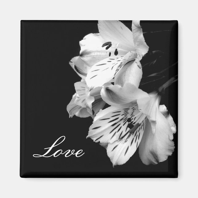 Alstroemeria Lily Love Magnet (Front)