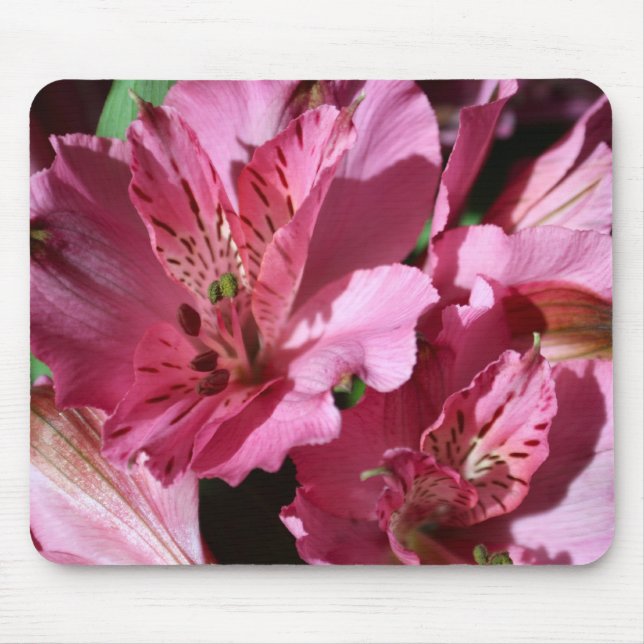 Alstroemeria Pink Flower Mouse Pad (Front)