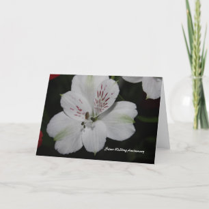 Alstroemeria Silver Wedding Anniversary Card
