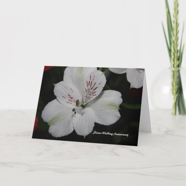 Alstroemeria Silver Wedding Anniversary Card (Front)