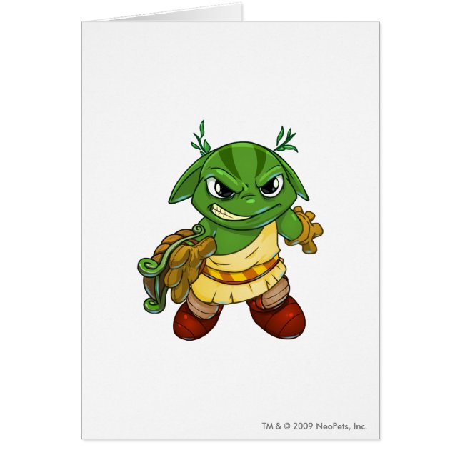 Altador Team Captain 2 (Front)