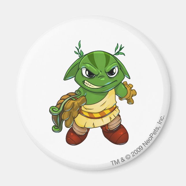 Altador Team Captain 2 Magnet (Front)