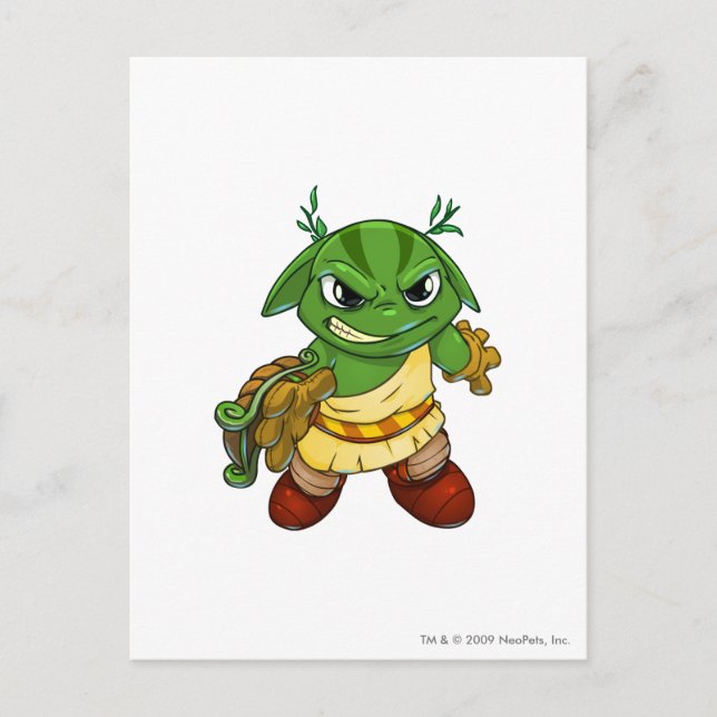 Altador Team Captain 2 Postcard (Front)