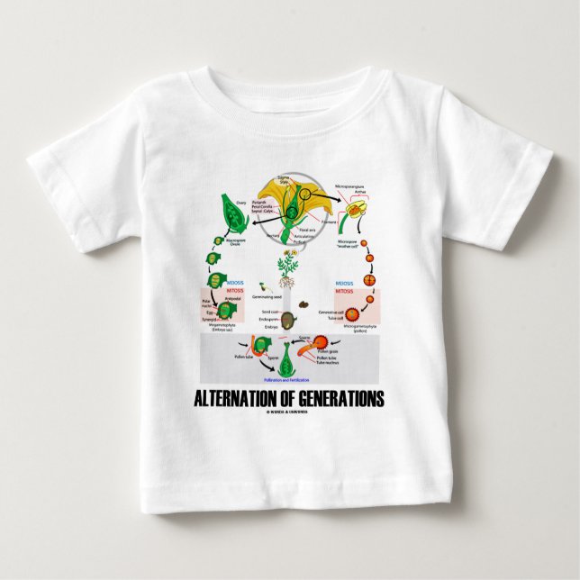Alternation Of Generations (Flower Life Cycle) Baby T-Shirt (Front)