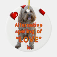 alternative spelling of LOVE is CAVOODLE