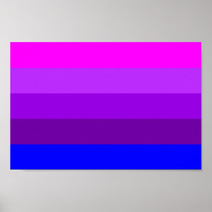 Alternative Transgender Pride Flag Poster