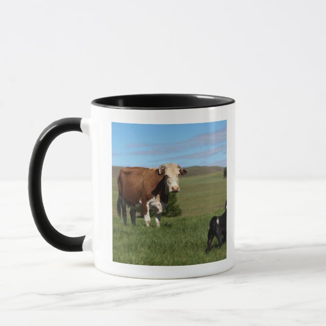 Although Cows and dogs are from different Mug (Left)