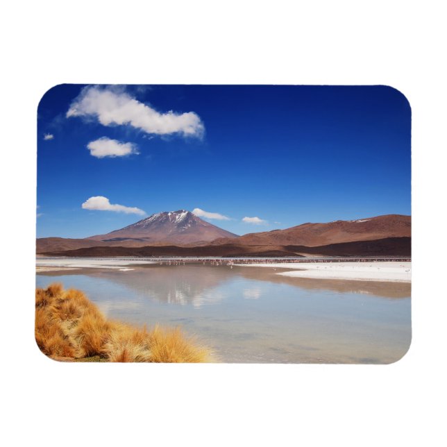Altiplano landscape with volcano in Bolivia Magnet (Horizontal)