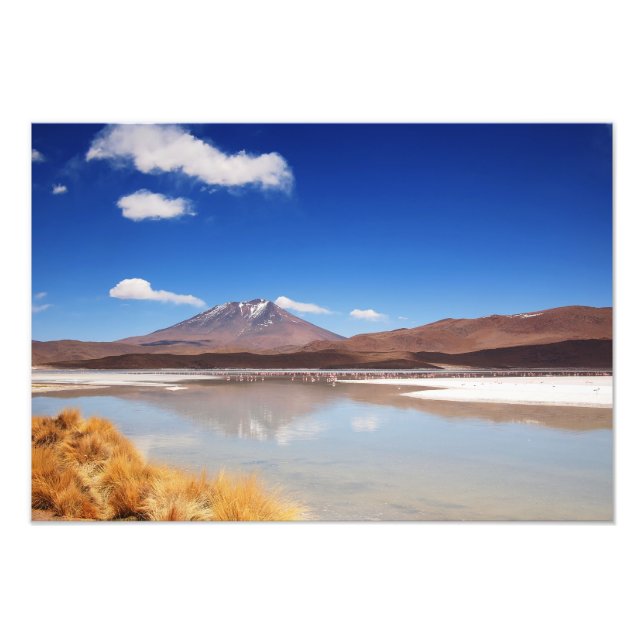 Altiplano landscape with volcano in Bolivia Photo Print (Front)