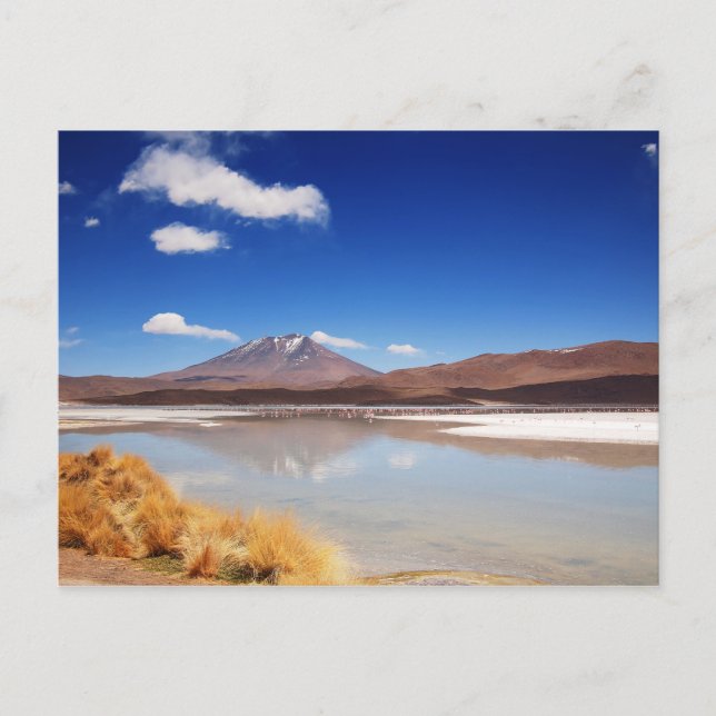 Altiplano landscape with volcano in Bolivia Postcard (Front)