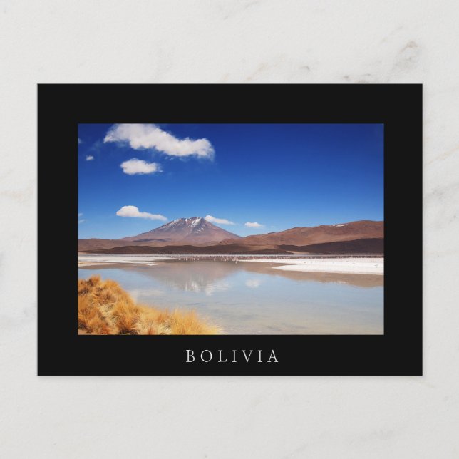 Altiplano landscape with volcano in Bolivia Postcard (Front)