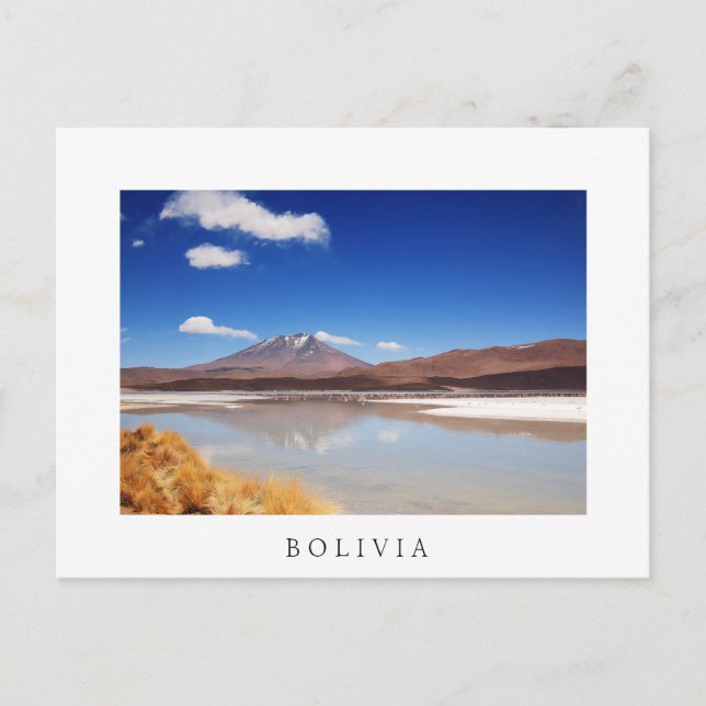 Altiplano landscape with volcano in Bolivia Postcard (Front)