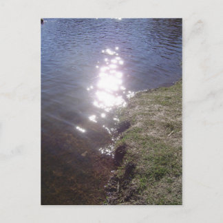 Aluminantes Postcard