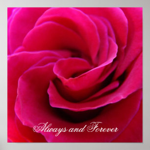 Always and Forever art prints Pink Rose Wedding