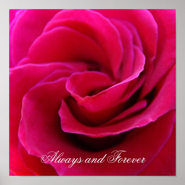 Always and Forever art prints Pink Rose Wedding (Front)