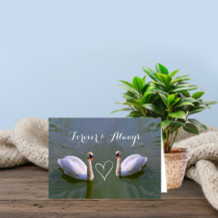 Always and Forever – Romantic Swan Love Valentine’ Holiday Card