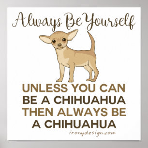 Always Be a Chihuahua Poster
