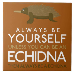 Always Be Yourself Unless You Can Be A Echidna Tile