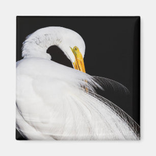Always Egrets Magnet
