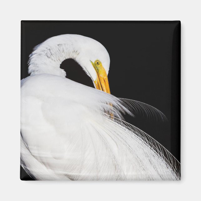 Always Egrets Magnet (Front)