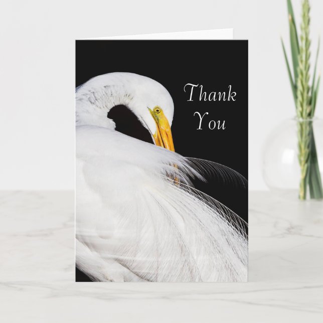 Always Egrets Thank you Card (Front)