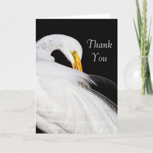 Always Egrets Thank you Card