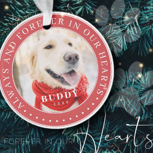 Always & Forever in our Hearts Memorial Pet Photo Ornament
