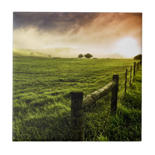 Always Greener on the Other Side Tile
