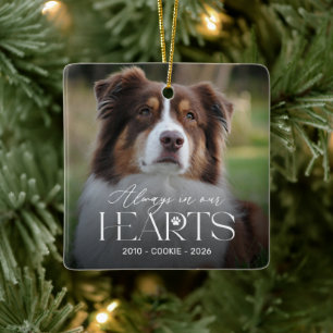 Always in Our Hearts Dog Memorial Ornament