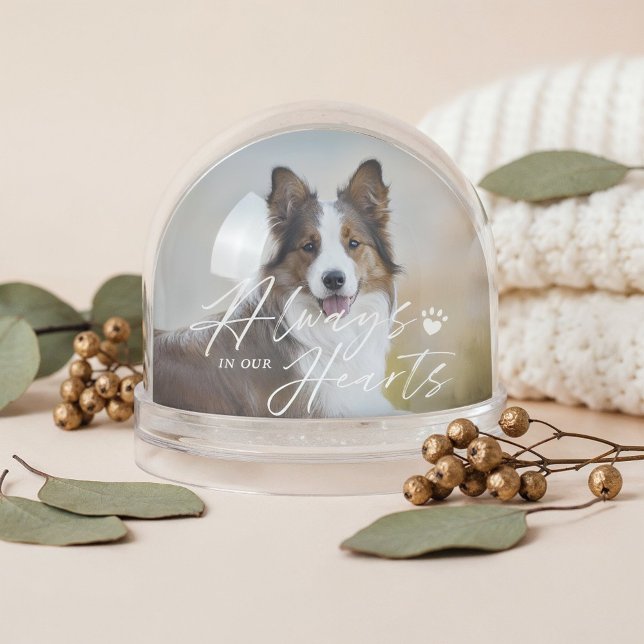 Always In Our Hearts Pet Photo Memorial Keepsake Snowglobe (Always In Our Hearts Pet Photo Memorial Keepsake Snow Globe (Front))