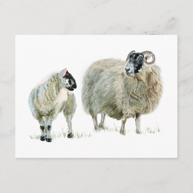 Always listen to your Maaaa! Postcard (Front)