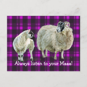 Always listen to your Maaaa! Postcard
