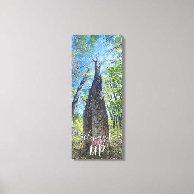 Always Look Up autumn sky and leaves canvas print (Front)