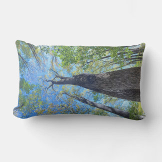 Always Look Up autumn sky and leaves  Lumbar Cushion