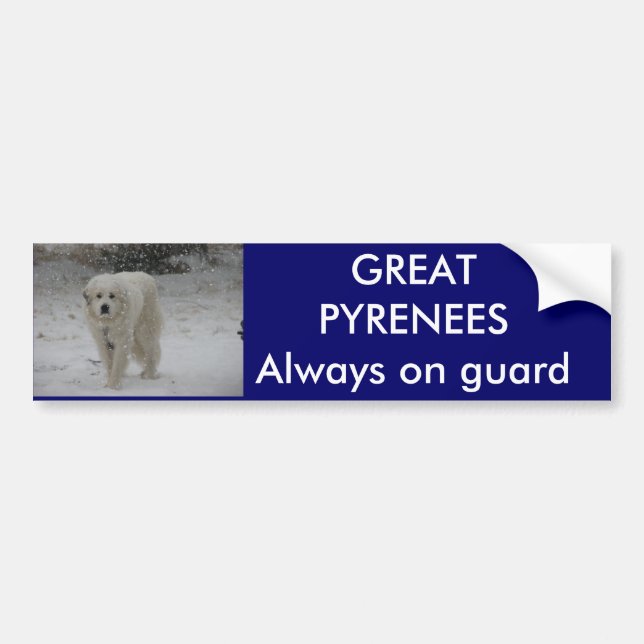 Always on guard bumper sticker (Front)