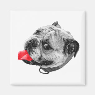 Always There, Lightly Marked Magnet