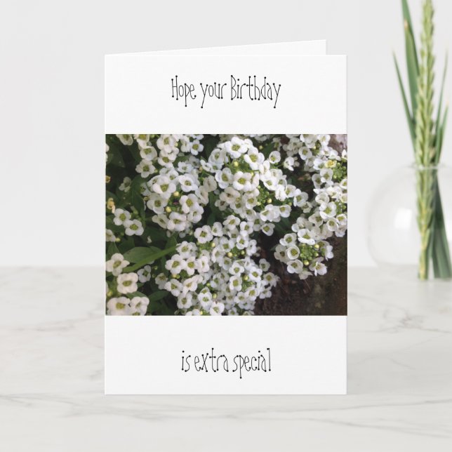 Alyssum Birthday Card (Front)