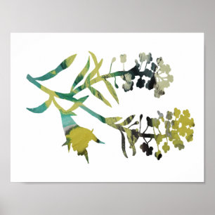 Alyssum Poster