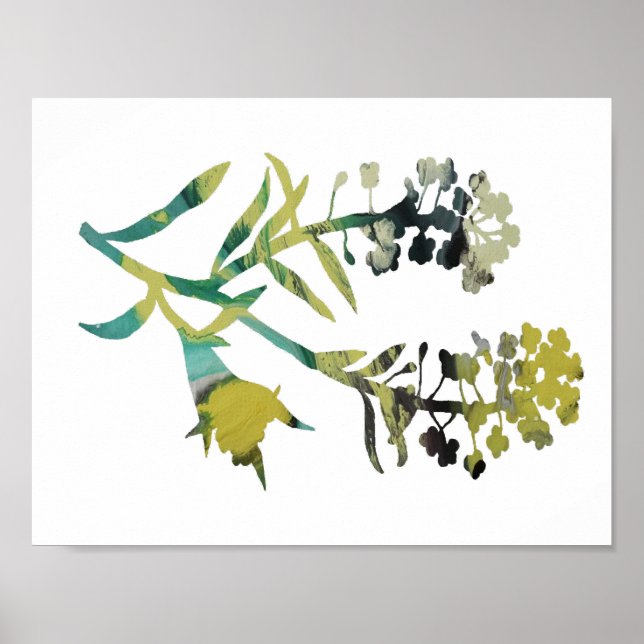 Alyssum Poster (Front)