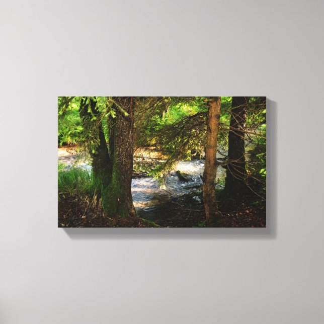 Am Bach Canvas Print (Front)