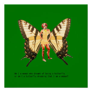 Am I a woman who dreamt of being a butterfly? Poster