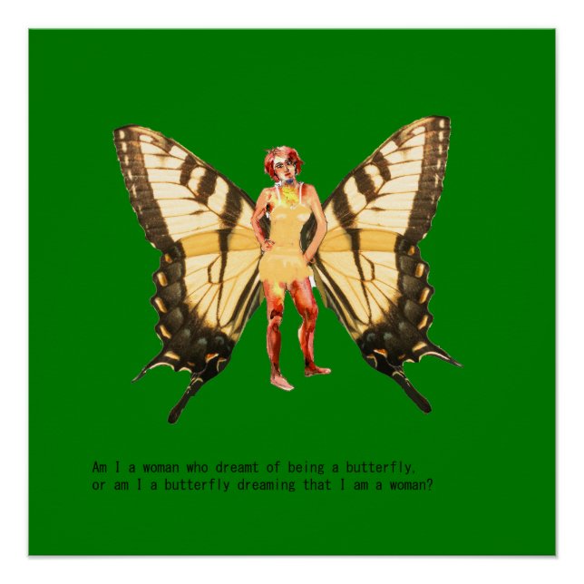  Am I a woman who dreamt of being a butterfly? Poster (Front)