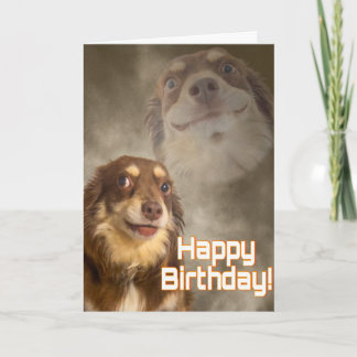 Am I The Drama? Card