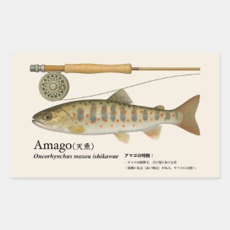 Amago (Oncorhynchus masou ishikawae) – Fish Illust Rectangular Sticker